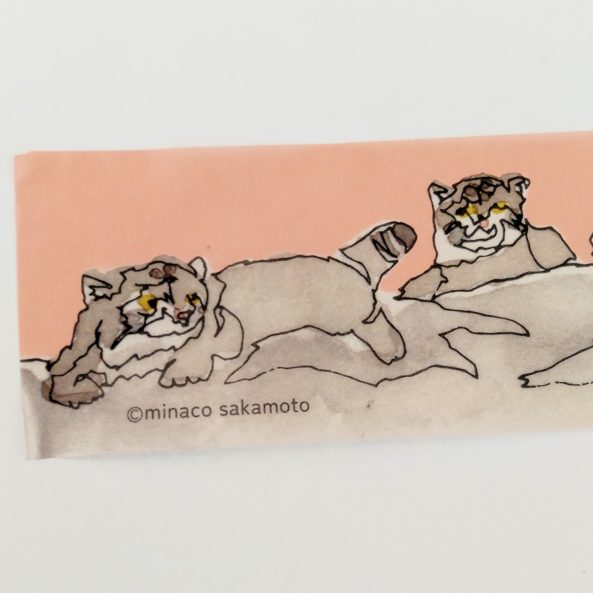 マスキングテープ 岩場のマヌルネコ ≪神戸どうぶつ王国 × minaco